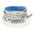Striscia LED Monocolore UNIVERSO 5m | SMD 2835 120 LED/m IP20 Larghezza 5mm