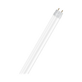 Tubo LED SMD in Vetro T8 G13 9W Lampadina 60cm 1100 Lumen 330° 4000K - 6500K