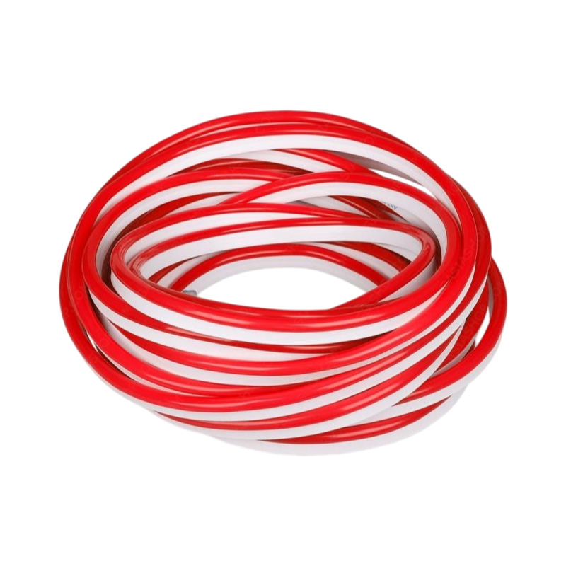 Striscia Strip LED Neon Flex 5 Metri DC 12V Impermeabile da Esterno IP65 Modellabile