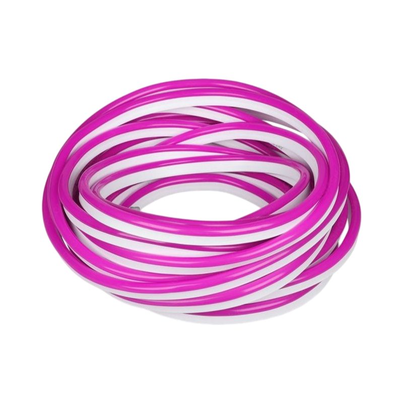 Striscia Strip LED Neon Flex 5 Metri DC 12V Impermeabile da Esterno IP65 Modellabile