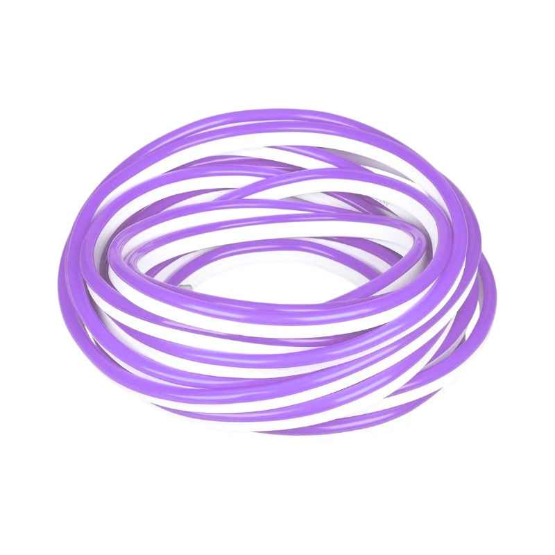 Striscia Strip LED Neon Flex 5 Metri DC 12V Impermeabile da Esterno IP65 Modellabile